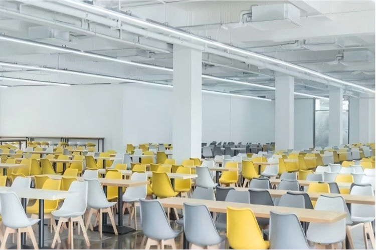 河北领悟艺考环境图