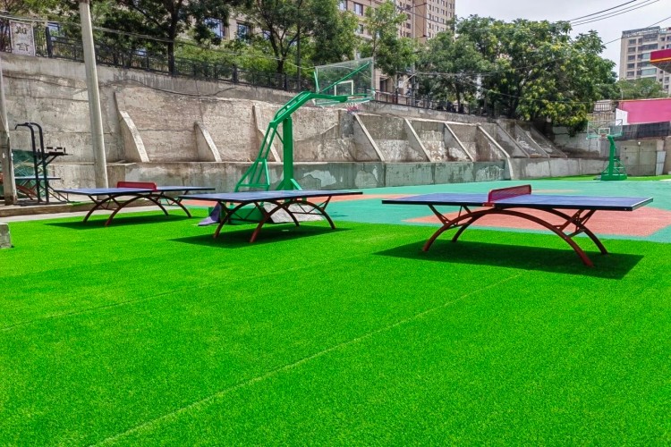 兰州会师学校环境图