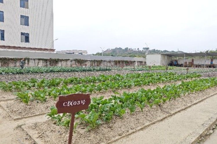 七彩凤凰·润泽青少年特训学校学校环境图