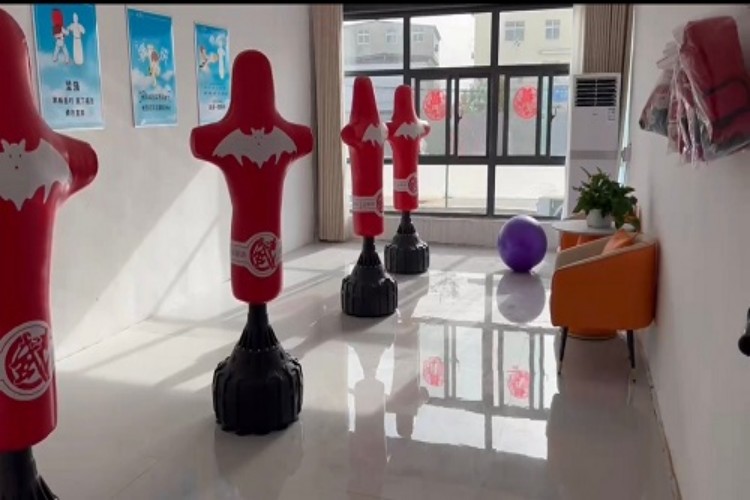 河南华心教育校区环境图