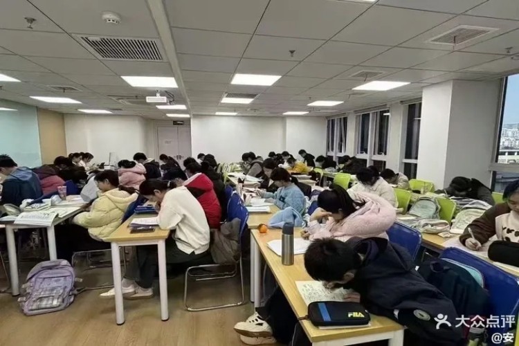 杭州乐马优途智学校区环境图