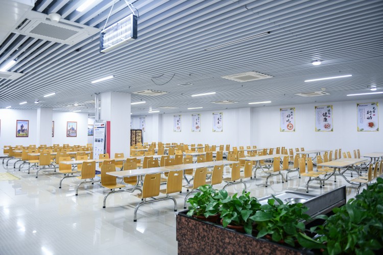 山东中德莱茵职业培训学校校区环境图片