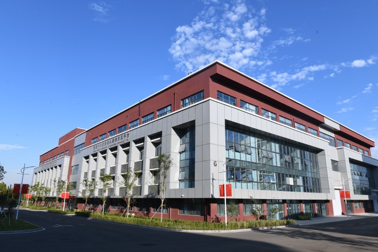 山东中德莱茵职业培训学校校区环境图片