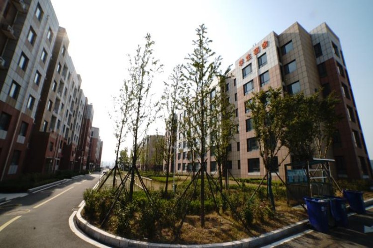 山东未莱自动化培训基地校区环境