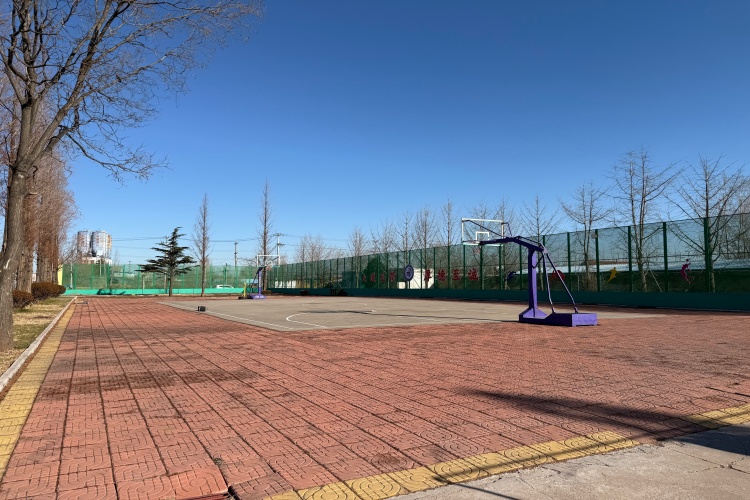 潍坊简诚拓展训练基地