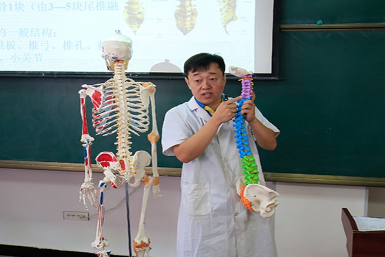 大连蔡洋中医校区环境图