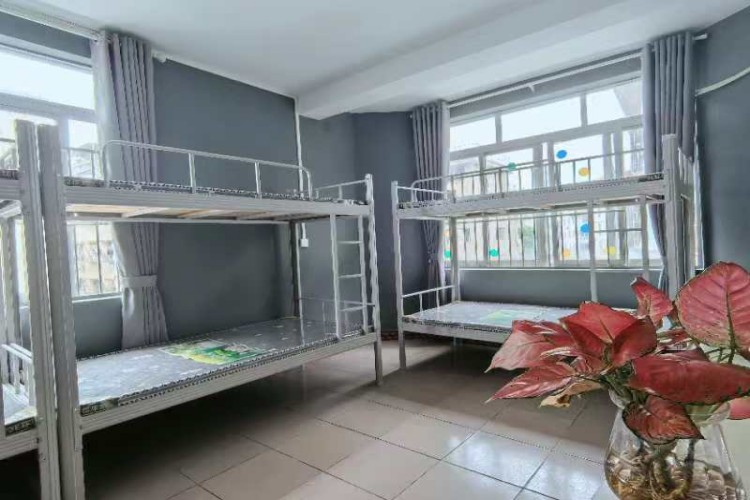 南宁派多格宠物美容培训