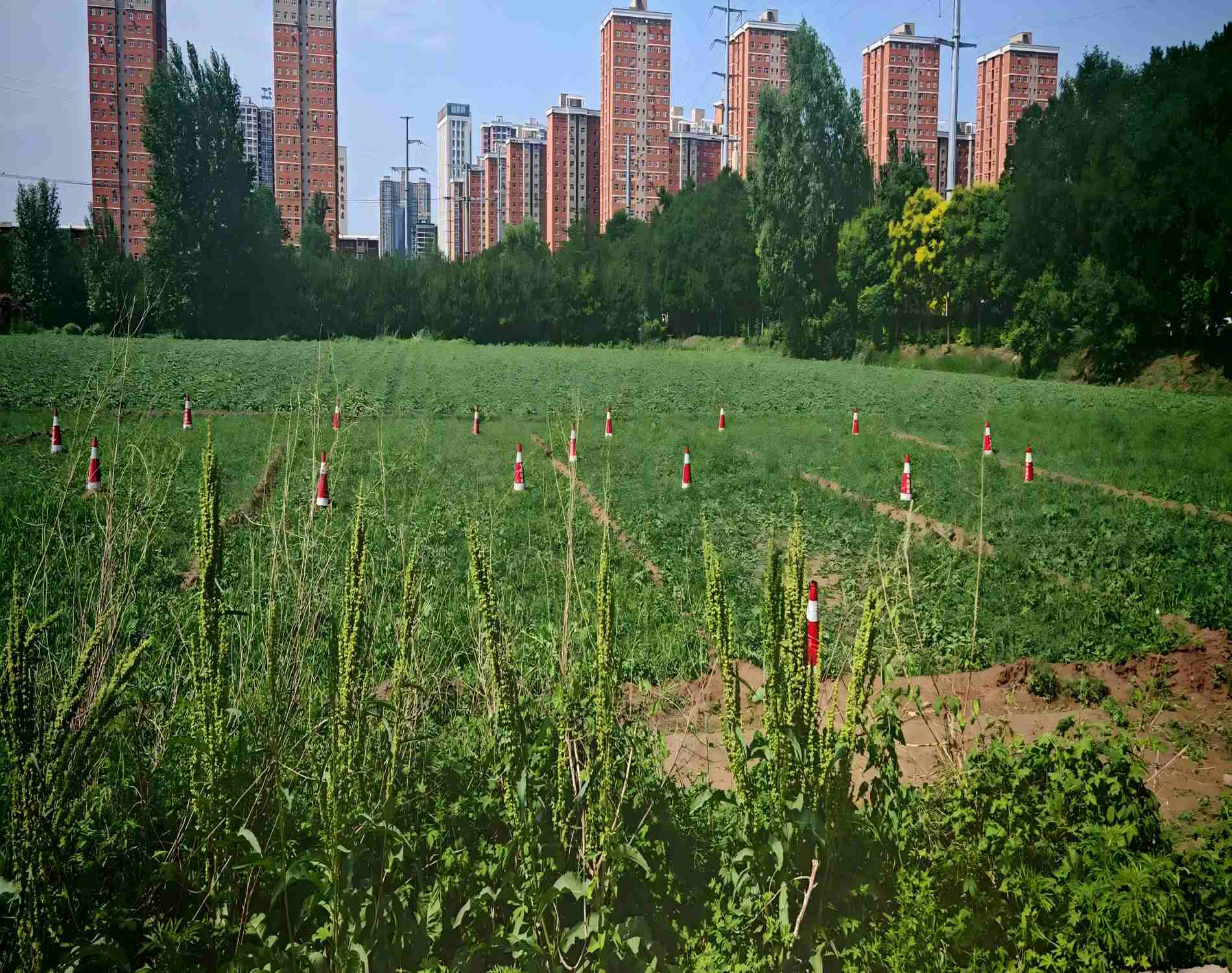 山西中达通运无人机培训