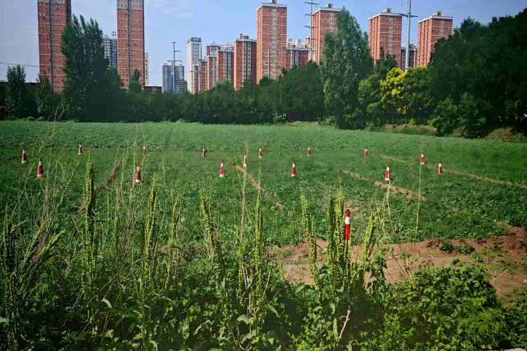山西中达通运无人机培训基地