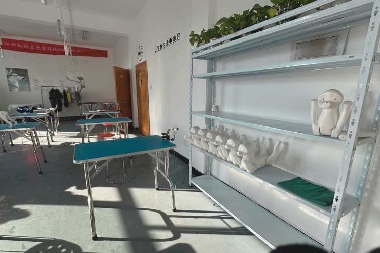 杭州图朴宠物美容培训环境图