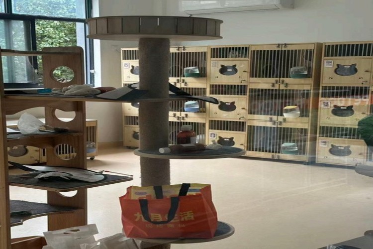 杭州图朴宠物美容培训环境图