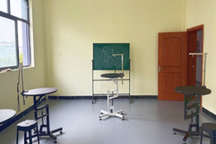 杭州图朴宠物美容培训环境图