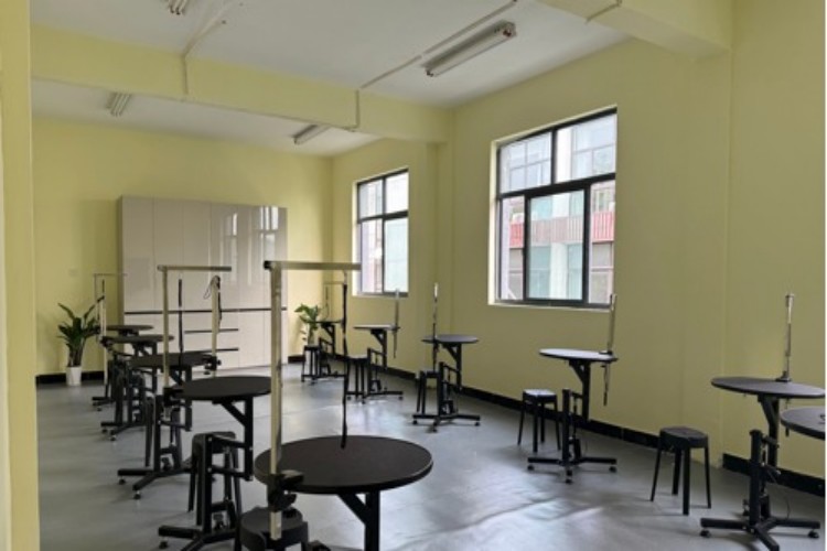 杭州图朴宠物美容培训环境图