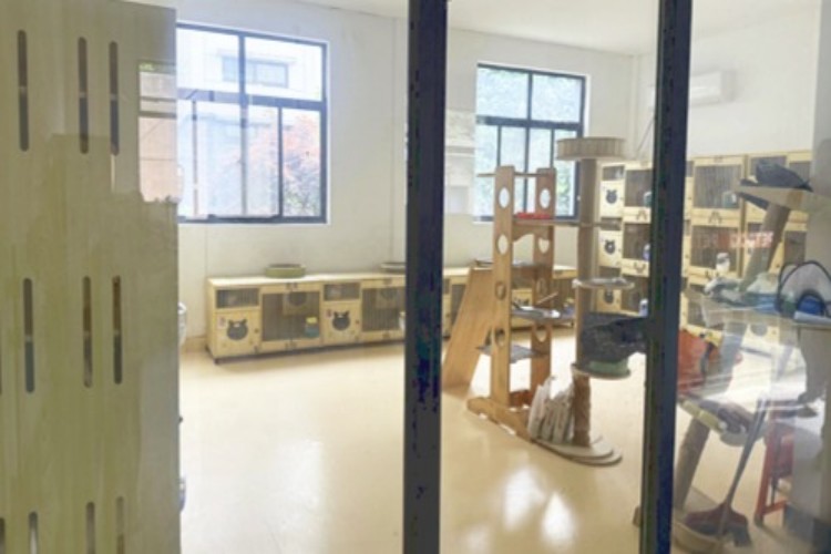 杭州图朴宠物美容培训环境图