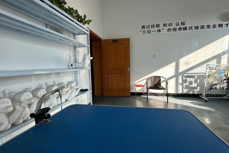 杭州图朴宠物美容培训环境图