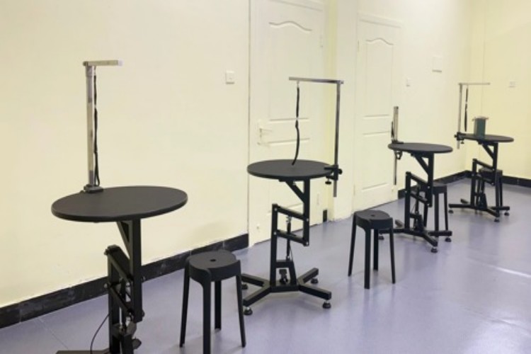 杭州图朴宠物美容培训环境图