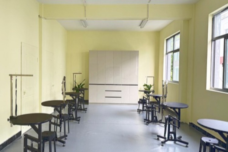 杭州图朴宠物美容培训环境图