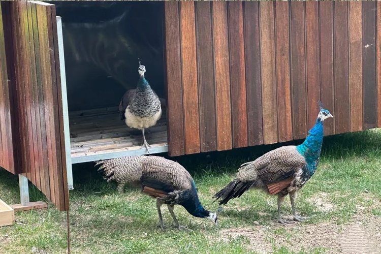 北京网易有道考研校区环境图片