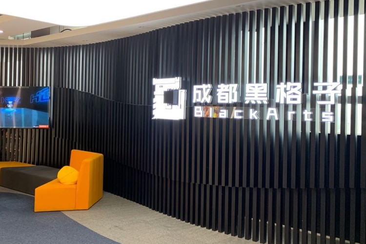成都黑格子视界教育公司环境