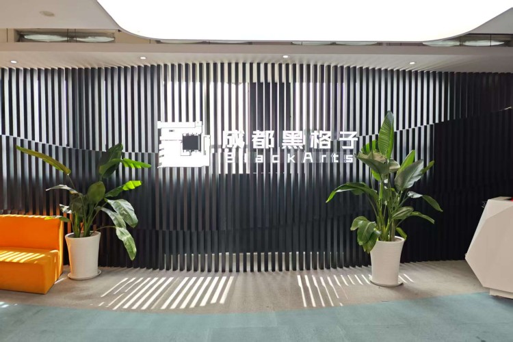 成都黑格子视界教育前台
