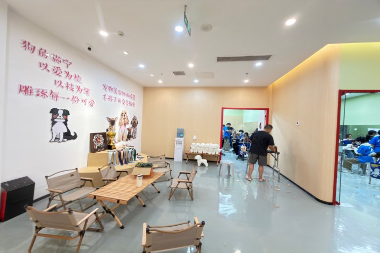 经典国际宠物美容培训学校（江北校区）