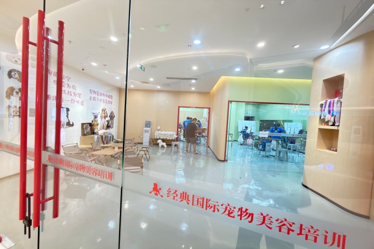 经典国际宠物美容培训学校（江北校区）