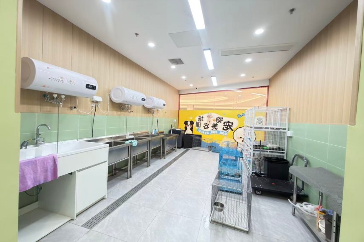 经典国际宠物美容培训学校（江北校区）