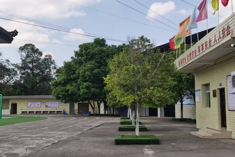 广安东方文化武术学校校区环境图
