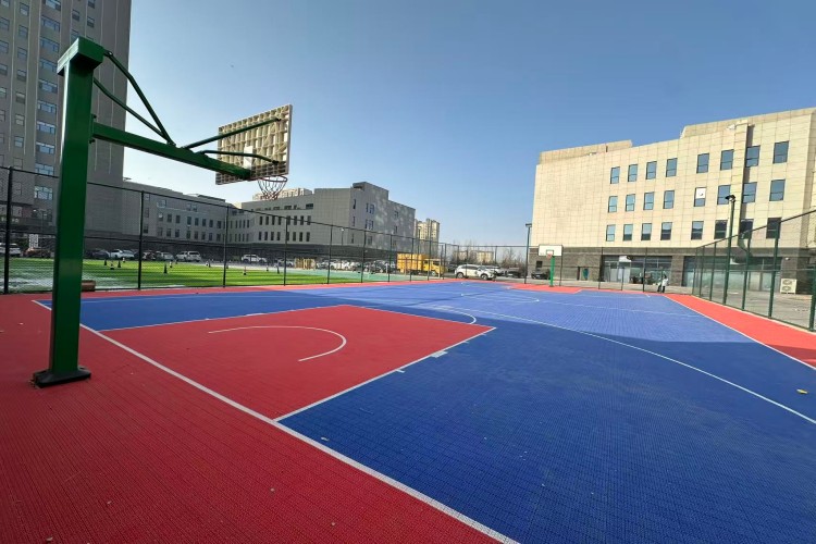 山西师璞教育环境图