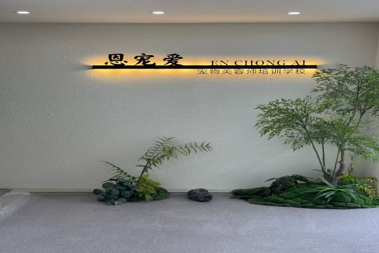 郑州恩宠爱宠物美容培训学校环境图