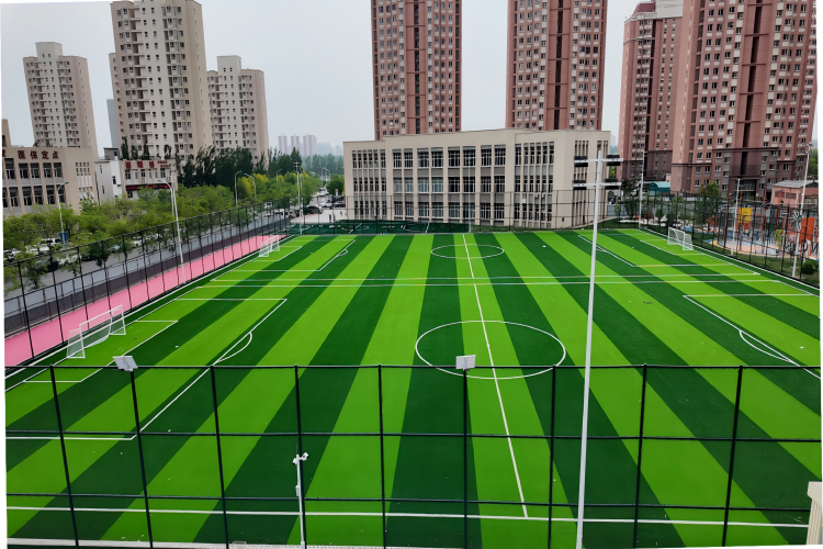 学校环境图