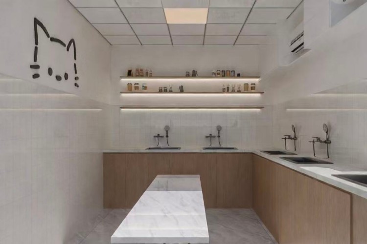 上海沪尚国际宠物美容培训学校