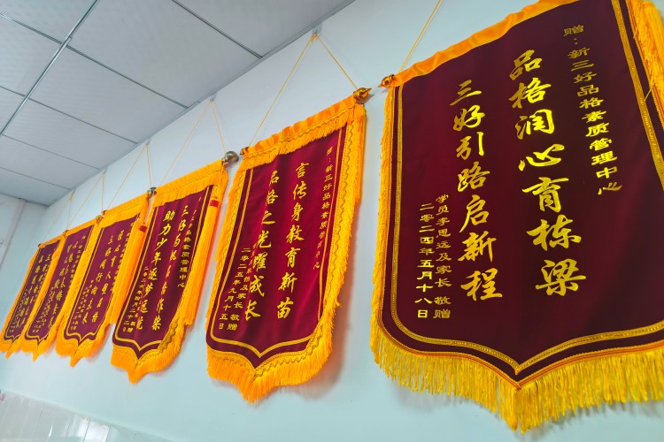 新三好品格素质项目高级武术教练