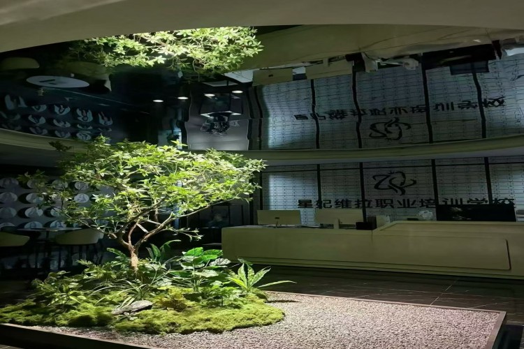 星妃维拉职业培训学校环境图