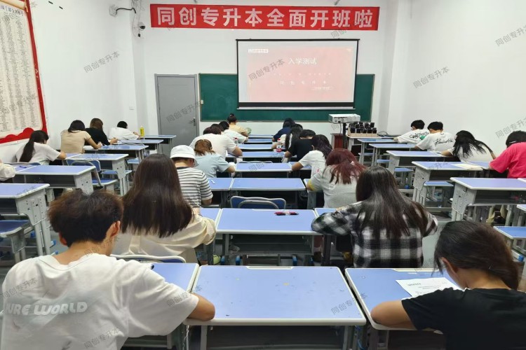 甘肃同创专升本环境图