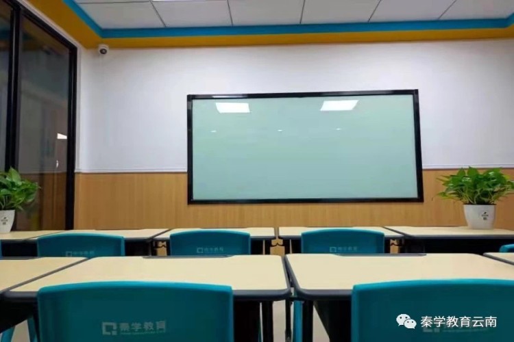 云南秦学教育前台接待