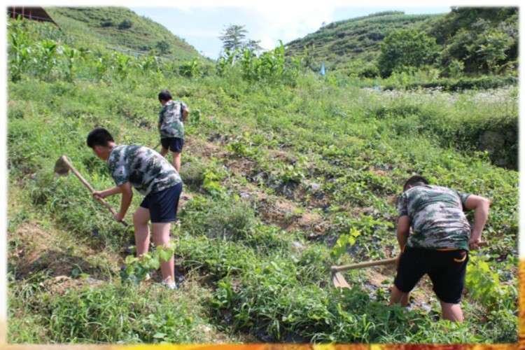 江苏红玉国防叛逆少年培训基地