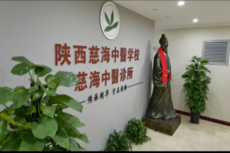 陕西慈海中医教育