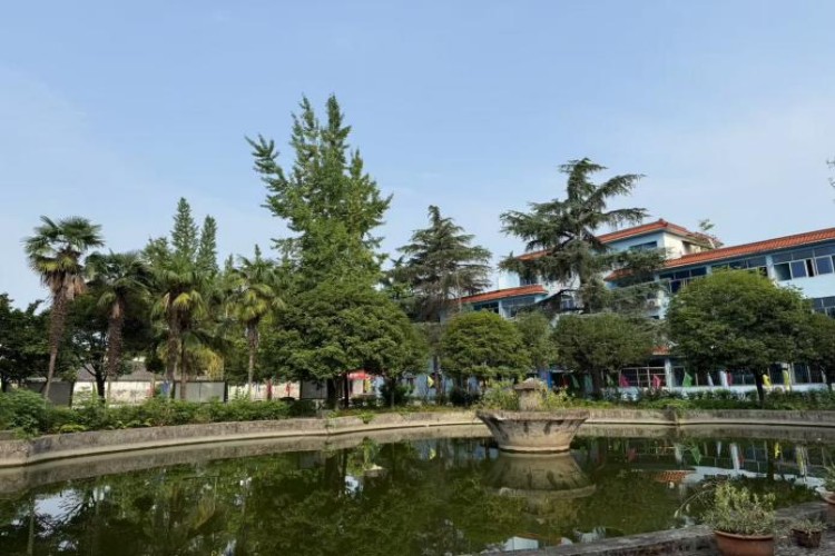 成都规禾苑教育