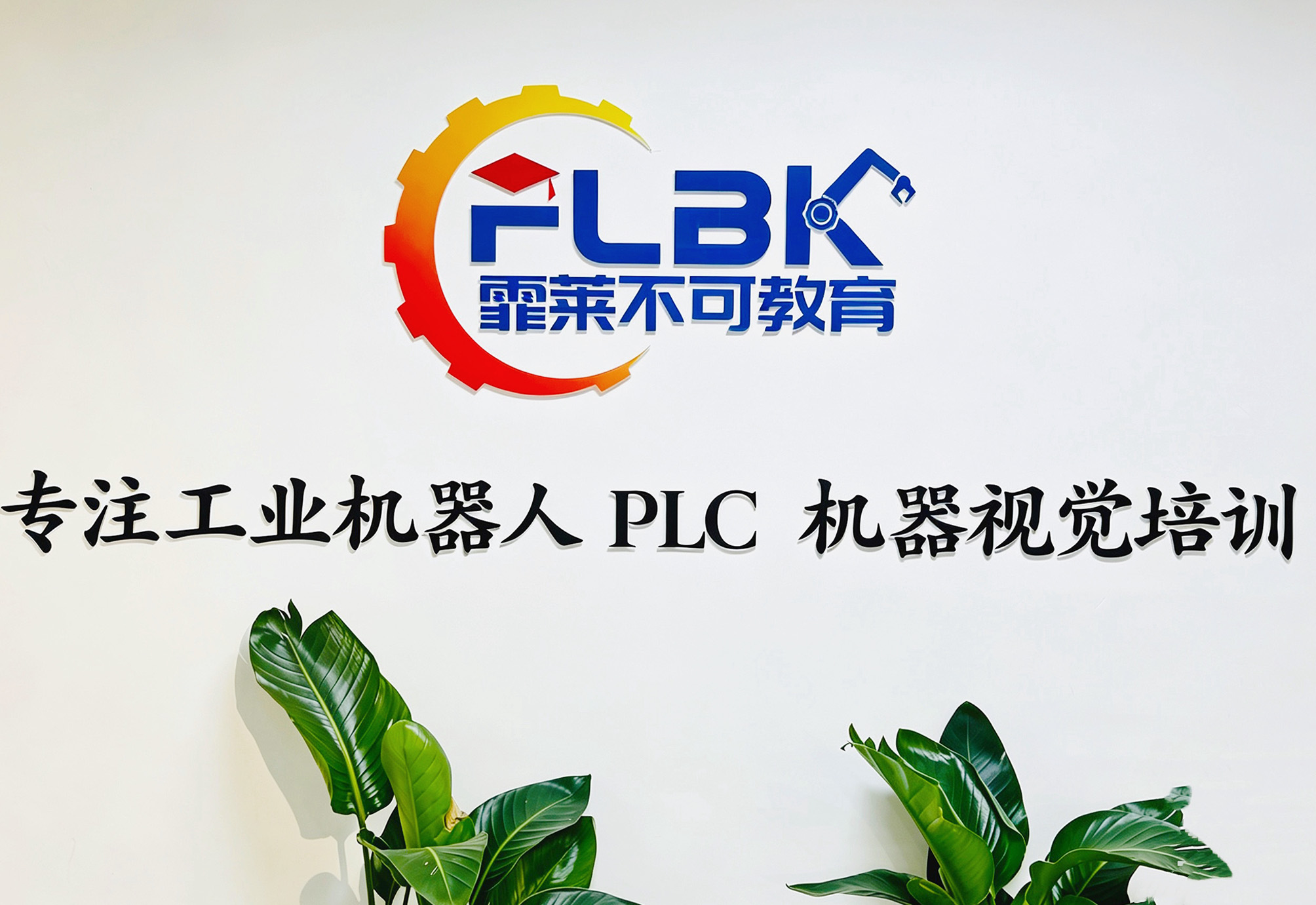 上海霏莱不可教育