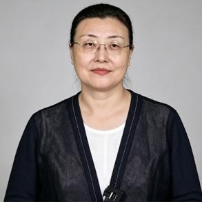杨蕾老师
