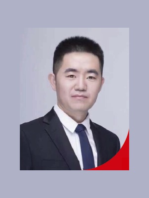 大龙